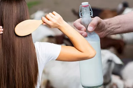 5 أسباب تدفعك لاستخدام حليب الماعز للعناية بالشعر