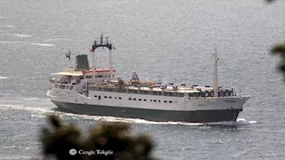 وصول 1470 رأس عجول حية إلى ميناء سفاجا قادمة من جيبوتي