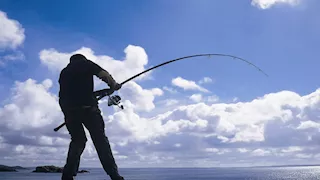 أدهشت الصيادين والعلماء.. اكتشاف سمكة قرش برتقالية نادرة لأول مرة (صور)