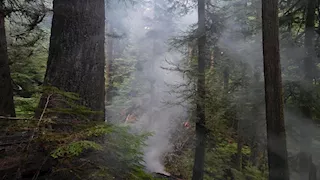 عمرها 450 عاما.. حريق يلتهم شجرة "التنوب دورنر" التاريخية في أوريغون (صور)