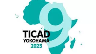 خبير اقتصادي يوضح أبعاد مشاركة مصر في مؤتمر "تيكاد 9" باليابان