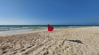 4 في العناية المركزة.. آخر تطورات الحالة الصحية لمصابي حادث أبو تلات بالإسكندرية (صور)