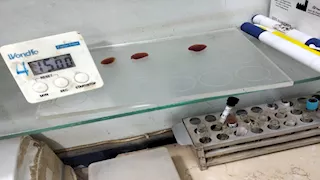 ضبط معمل تحاليل مخالف بسوهاج يدعو للتبرع بالدم دون تراخيص (صور)