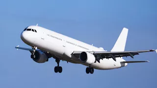 هجرات عظمى| 2 مليون طائر يمرون عبر مصر سنويًا.. خريطة كاملة للمسارات