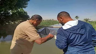 محافظ أسيوط يتابع فعاليات الحملة القومية لمكافحة البلهارسيا بالقرى - صور 