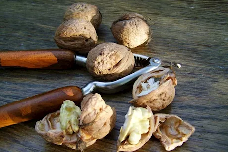 للحصول على مزيد من أوميجا 3- تناول هذه الأطعمة مع عين الجمل