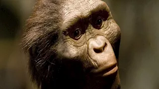 العثور على أسنان تكشف رفيقا غامضا للإنسان القديم (صور)