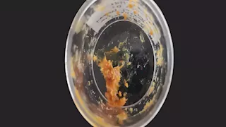 اكتشاف عسل عمره 2500 عام داخل ضريح أثري في إيطاليا 