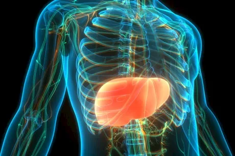 لمرضى الكبد الدهني- 5 علامات تدل على الشفاء