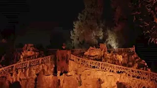 بينها الكوبري المعلق والجبلاية.. 15 صورة لاحتفالية حديقة الحيوان الليلية