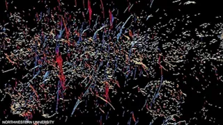 مجرات أم أسرار مجهولة.. اكتشاف أجسام غامضة في الكون