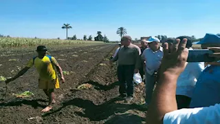 "الزراعة" تطلق حملة قومية لمكافحة ذبابة الفاكهة استعدادًا لموسم الموالح