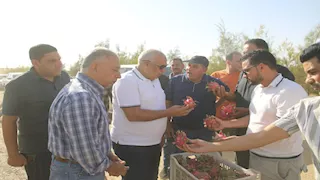 الزملوط: نجاح تجربة الدراجون فروت بسهل بركة فى الفرافرة -صور 