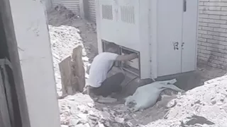 الداخلية توضح حقيقة فيديو سرقة البطاريات