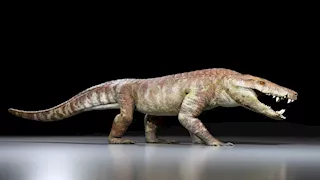 اكتشاف زاحف عملاق منقرض كان يفترس الديناصورات