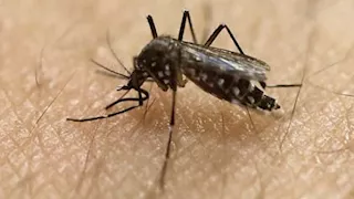 لمواجهة فيروس شيكونجونيا.. الصين تستنفر وتطلق حملة موسعة لتعقّب البعوض بالطائرات