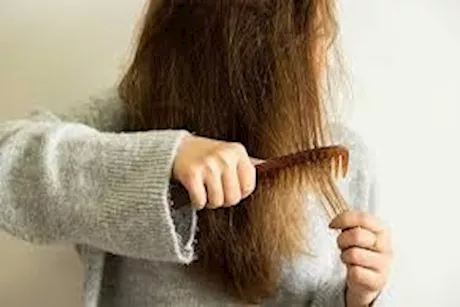  5 طرق فعّالة لعلاج الشعر المتقصف في المنزل بسهولة