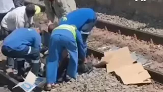 مصرع طفلين شقيقين دهسهما قطار بالبحيرة