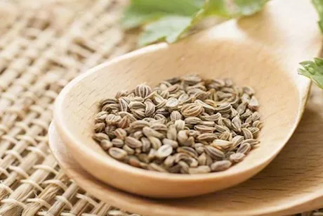 فوائد متعددة لتناول بذور البقدونس على الصحة