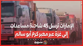 الإمارات ترسل 45 شاحنة مساعدات إلى غزة عبر معبر كرم أبو سالم