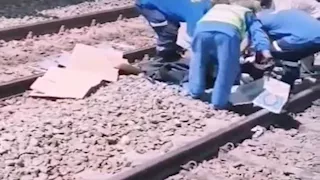 من محطة القطار إلى ثلاجة الموتى.. قصة شقيقين يعودان في نعش واحد بالبحيرة