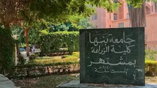 لمواكبة سوق العمل.. 6 برامج دراسية متميزة بزراعة بنها