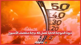 ذروة الموجة الحارة تصل 42 درجة منتصف الأسبوع