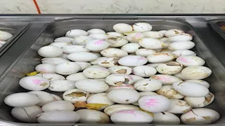 "فضيحة في الجيش الإسرائيلي".. جنود يوثقون فسادًا صحيًا وطعامًا ملوثًا في قاعدة عسكرية (فيديو)