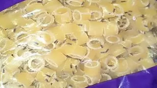 مكرونة بالحشرات.. تموين بورسعيد تضبط أغذية فاسدة - صور