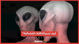 "ليست كالبشر وتتكاثر بوسائل غريبة".. خبراء يضعون تصورات لأشكال الكائنات الفضائية
