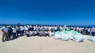 البيئة: تنفيذ 162 نشاطًا توعويًا وزراعة 3025 شجرة ضمن أسبوع "هواء نظيف"