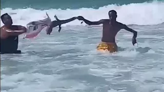 "توكة زرقاء" تكشف لغز تمساح شط إسكندرية (فيديو وصور)