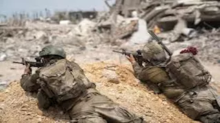 بق وحشرات غامضة تهاجم جنود الاحتلال في غزة وتصيب العشرات "صور"