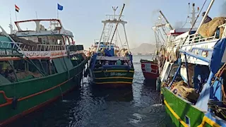 لأول مرة.. مهرجان لصيد الأسماك ضمن احتفالات السويس بالعيد القومي