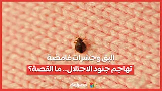 البق وحشرات غامضة تهاجم جنود الاحتلال.. ما القصة؟