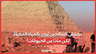 عطش السائحين يُروى بالمياه المعبأة  لكن ماذا عن الحيوانات؟