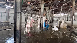 مصدر لمصراوي: الدفع بمجازر متنقلة لمواجهة ارتفاع الأسعار وخدمة المناطق النائية