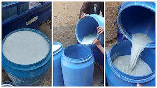 قبل تصنيعه موزاريلا.. ضبط طن لبن فاسد في أسيوط (صور)