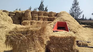 رئيس تنظيم المخلفات لمصراوي: تخفيض رسوم مواقع تجميع قش الأرز  