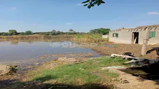 المياه وصلت البيوت.. غرق 268 فدانًا بالمنوفية بسبب ارتفاع منسوب النيل