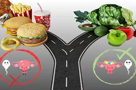 كيف يؤثر النظام الغذائي على الخصوبة؟