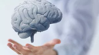 علماء يكتشفون طريقة حرق خلايا الدماغ الدهون لتوليد الطاقة