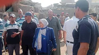 مصرع 7 رؤوس ماشية في حريق هائل بحظيرة في الدقهلية