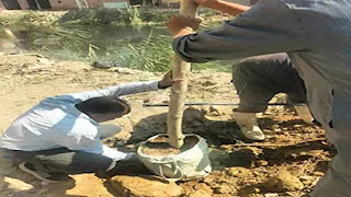 غضب في بلبيس بعد تشجير "رشاح الموت" بدلًا من إقامة حواجز خرسانية.. الأهالي: "حل غير واقعي"