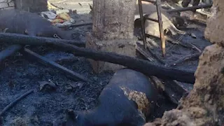 إخماد حريق في حظيرة مواشي بمركز الفشن ببني سويف