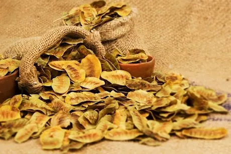 علاج الإمساك- هل السنامكي مفيد؟