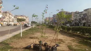 "يوم الهواء النظيف" في البحيرة.. إزالة 17 مكمورة فحم وتجميل شوارع بأبو المطامير