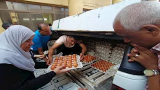 تخفيض 20%.. منافذ متنقلة لبيع بيض المائدة بأسعار مخفضة بالقاهرة والجيزة