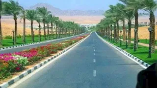 بمشاركة 54 فنانًا تشكيليًا.. شرم الشيخ تستضيف الدورة الثانية لـ"آرت شارم"