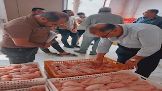 ضبط 1500 كيلو لحوم ودواجن مجهولة المصدر في حملة بالشرقية